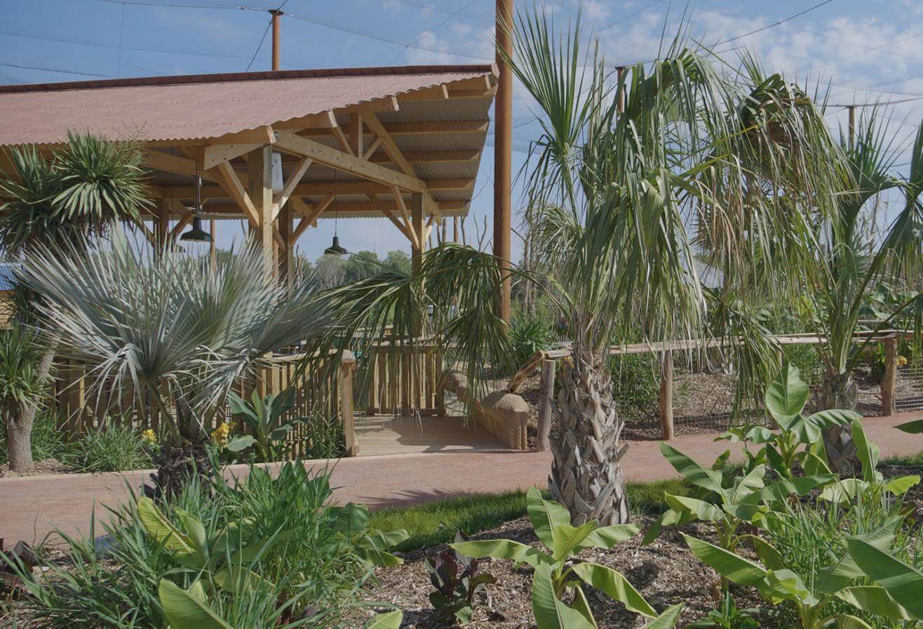 végétation Parrot World